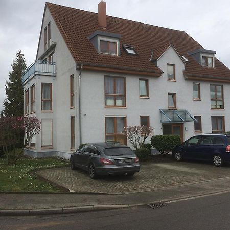 Ferienwohnung Lavate 2 Orschweier 外观 照片